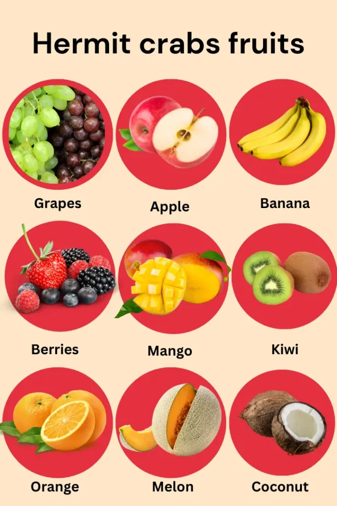 Hermitcrabs fruits