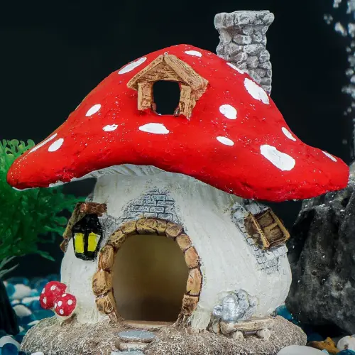 Aquarium Mushroom House