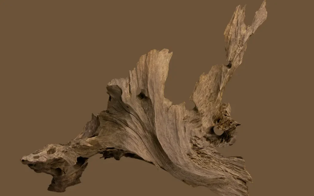 Driftwood