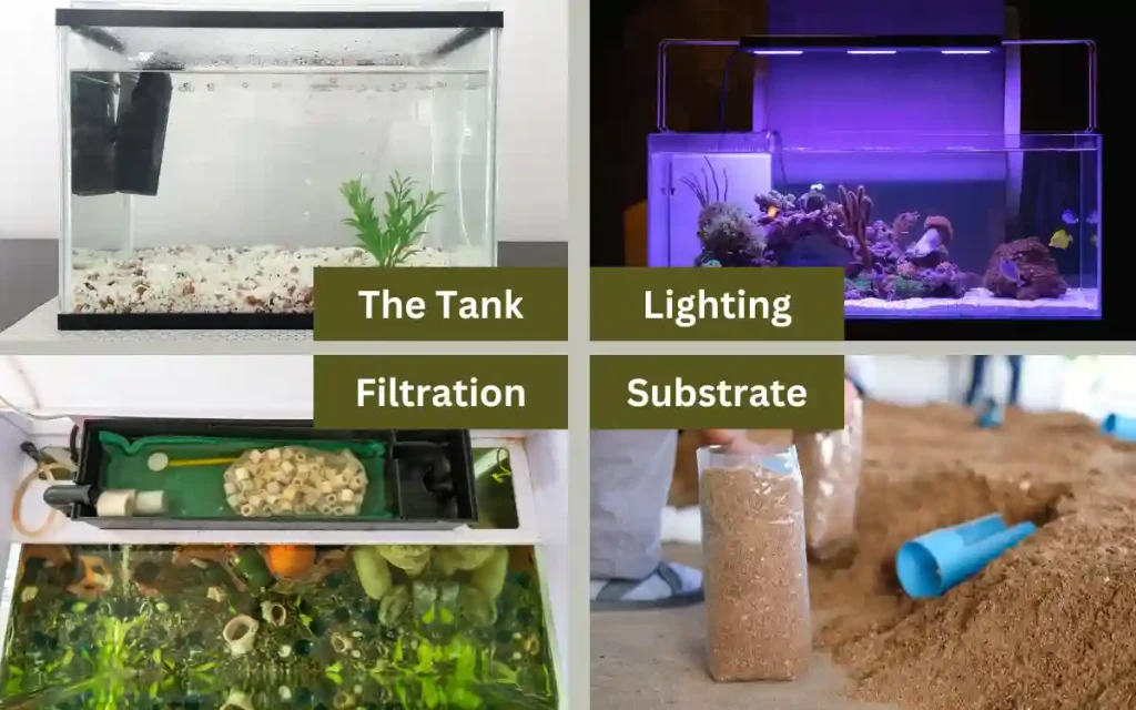 Essential Equipment for Beginners