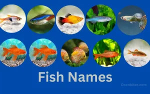 Best Fish Names