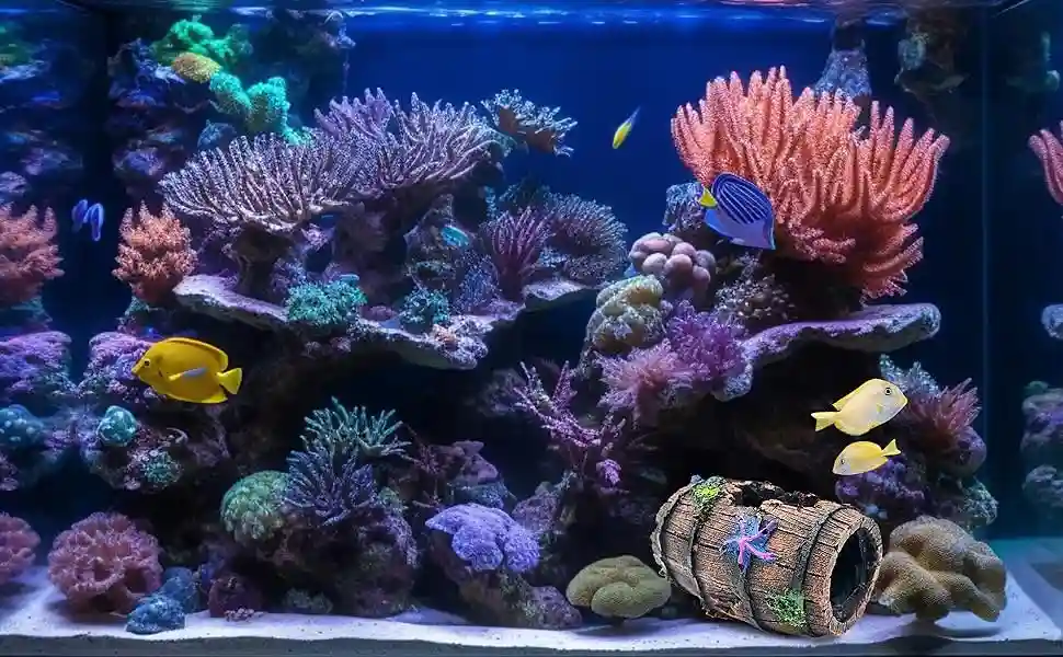 Saltwater aquarium