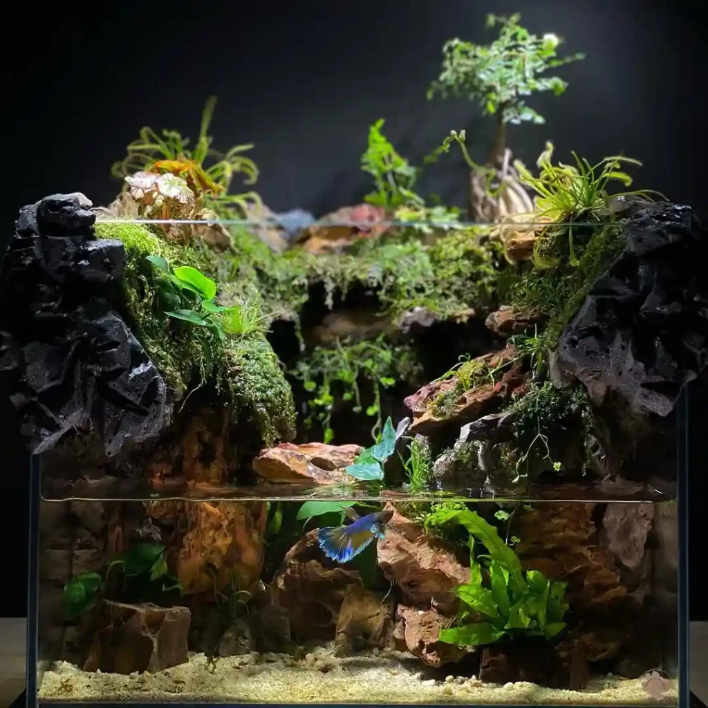 Jungle Cliffside Betta Tank