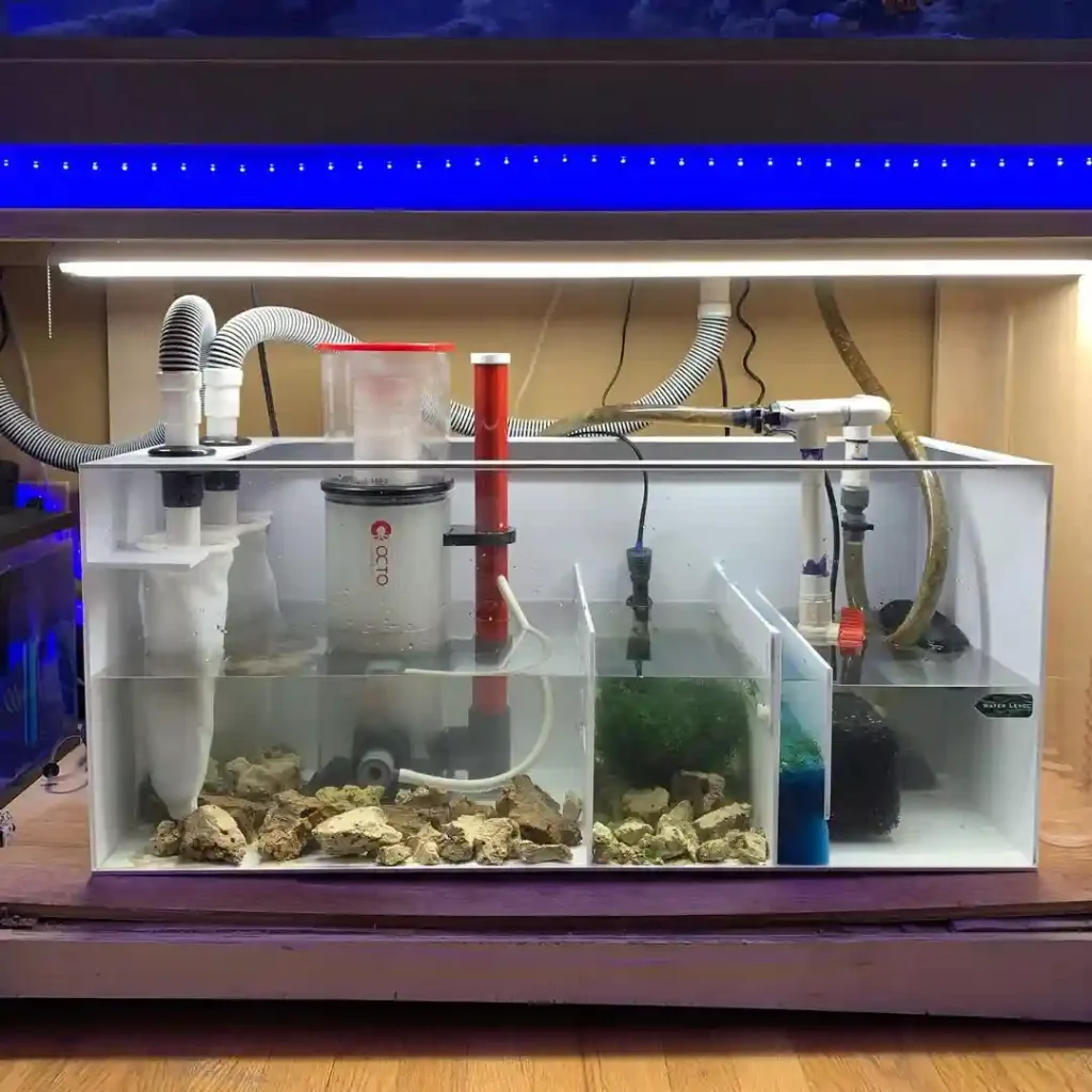 LOVING my new @proclearaquaticsystems sump set up that i picked up from @osa.media also cant