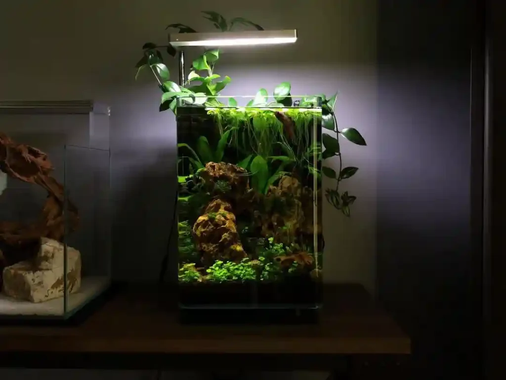 Lush Vertical Garden Betta Tank