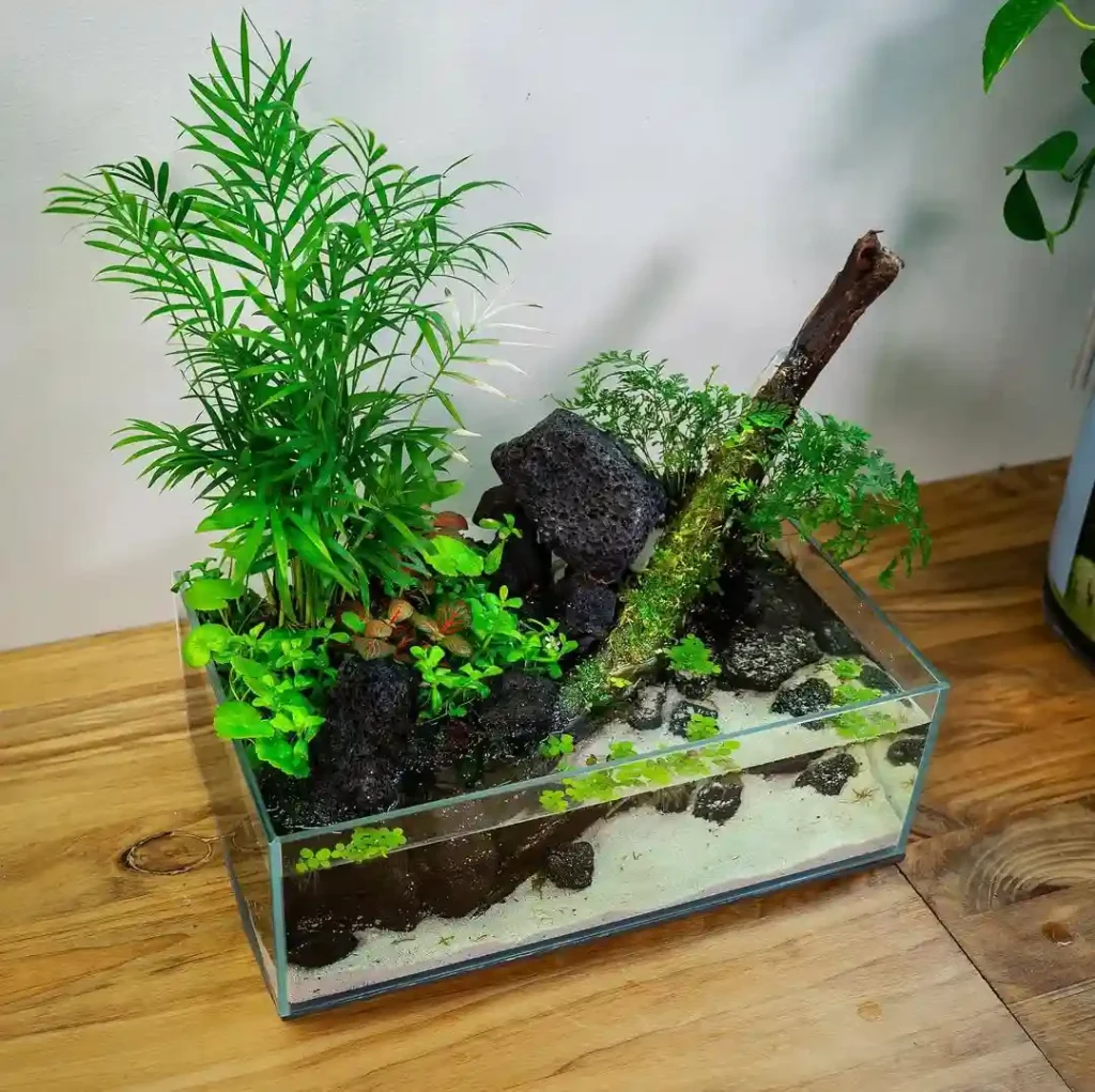 Semi-Submerged Jungle Layout