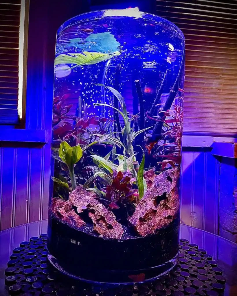 Tall Blue LED Glow Cylinder