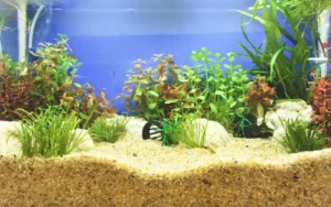 Aquarium Substrate Guide