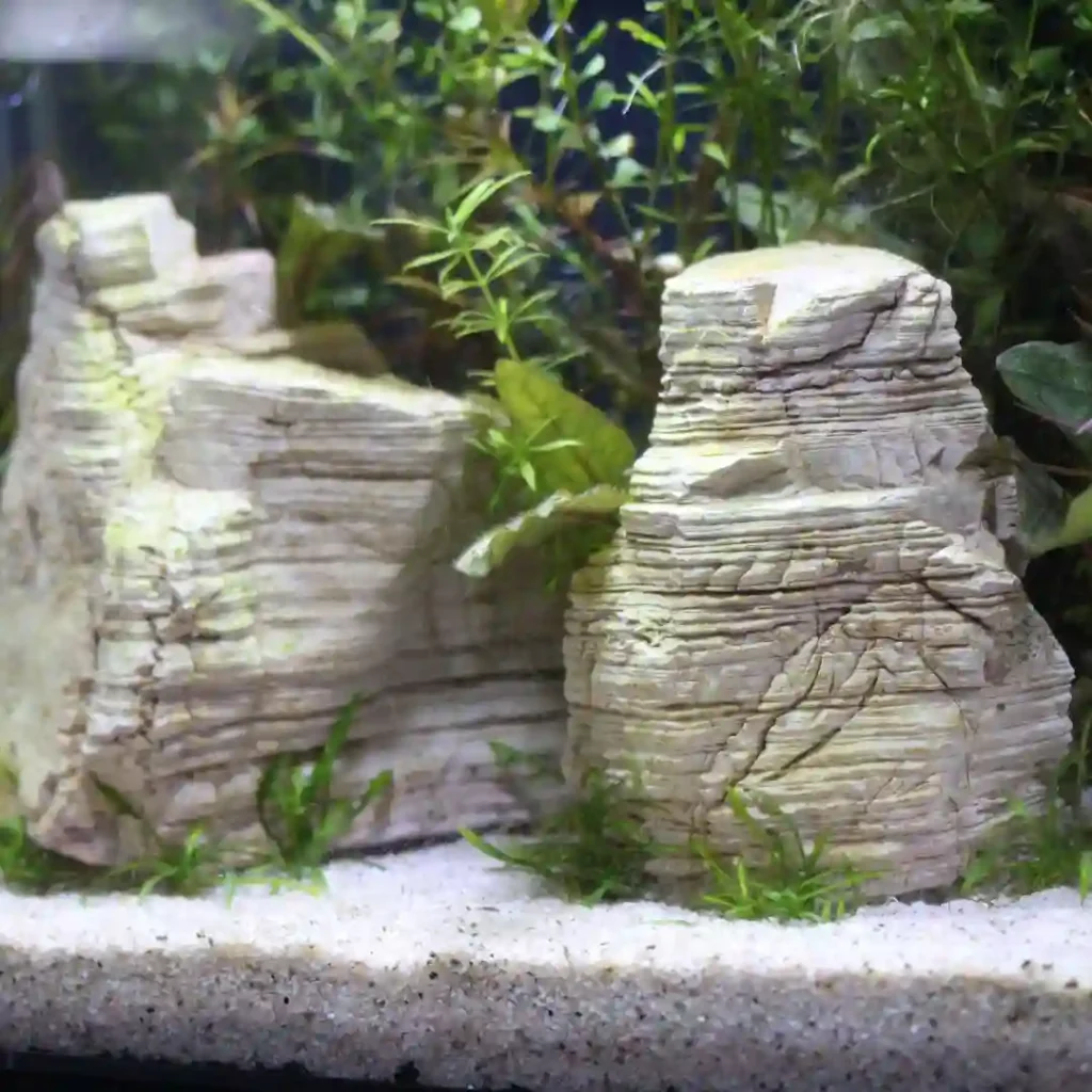 Planted Aquarium Room