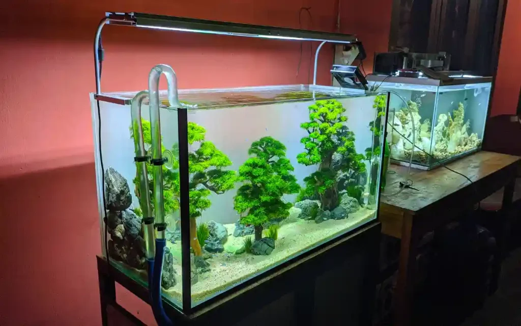 21 Money Saving Aquarium Hacks