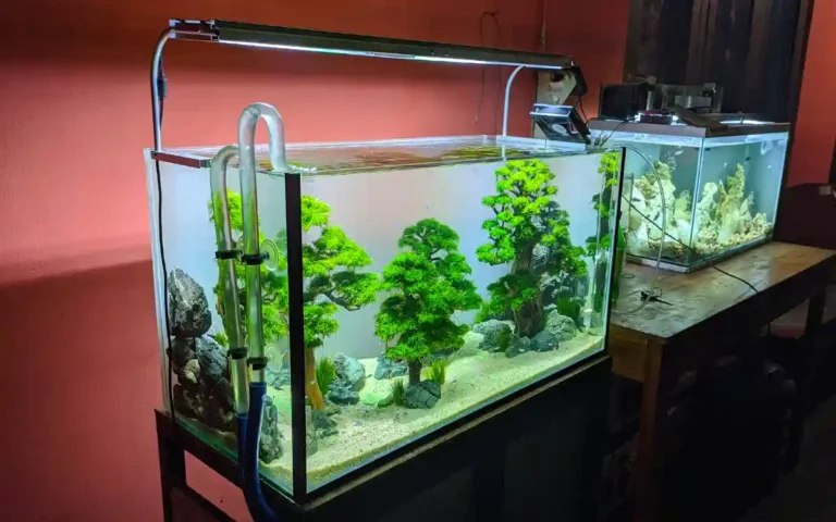21 Money Saving Aquarium Hacks