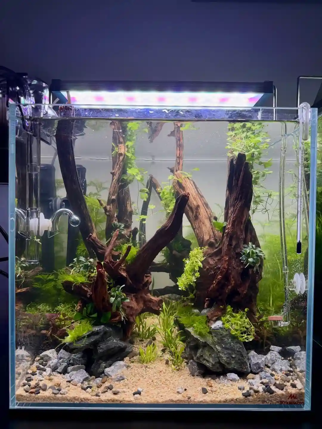 Beneficial Aquarium Bacteria