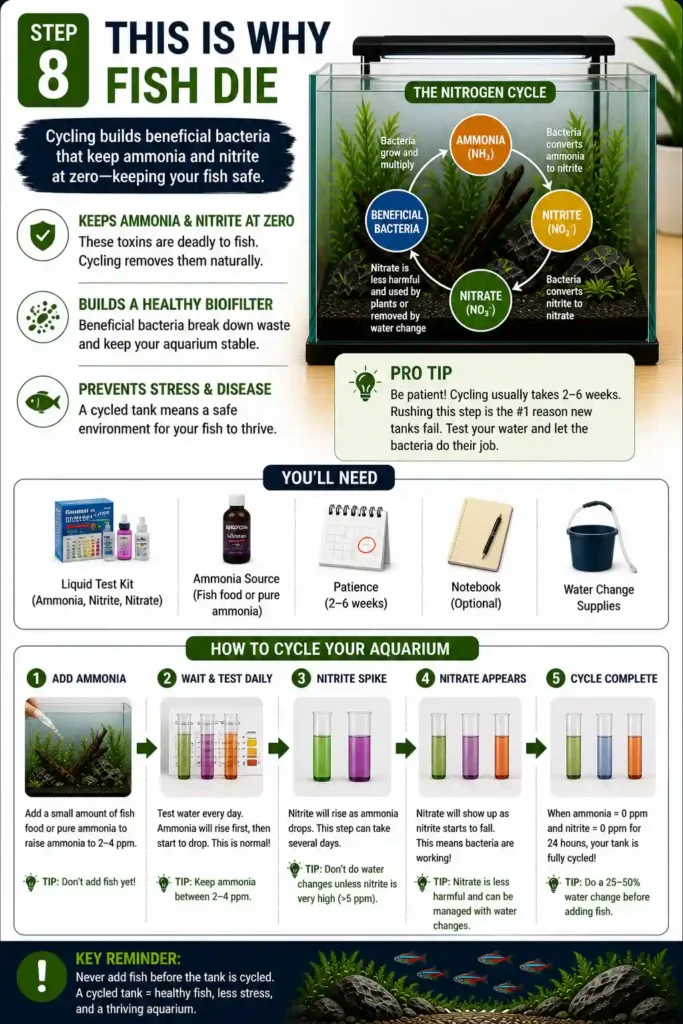 Cycle Your Aquarium