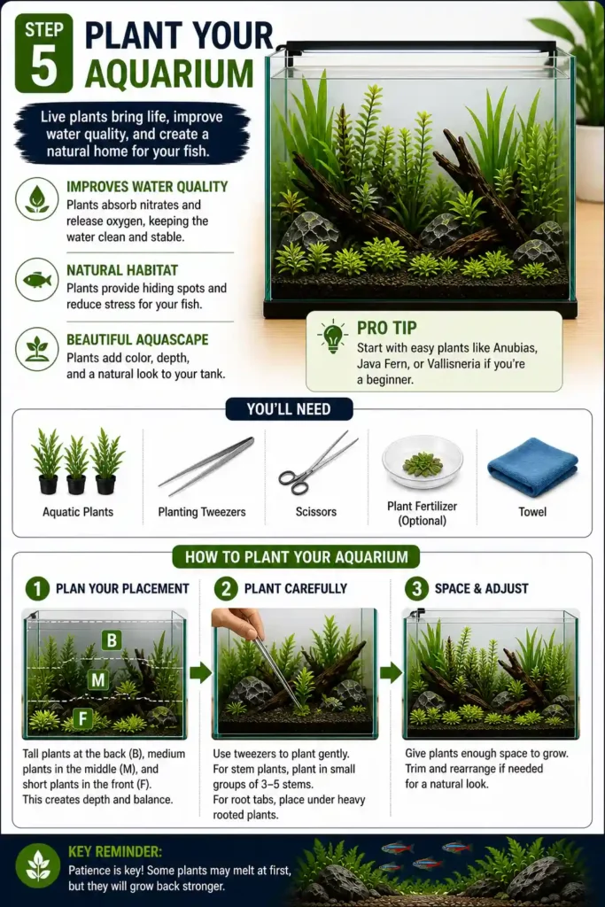 Plant Your Aquarium