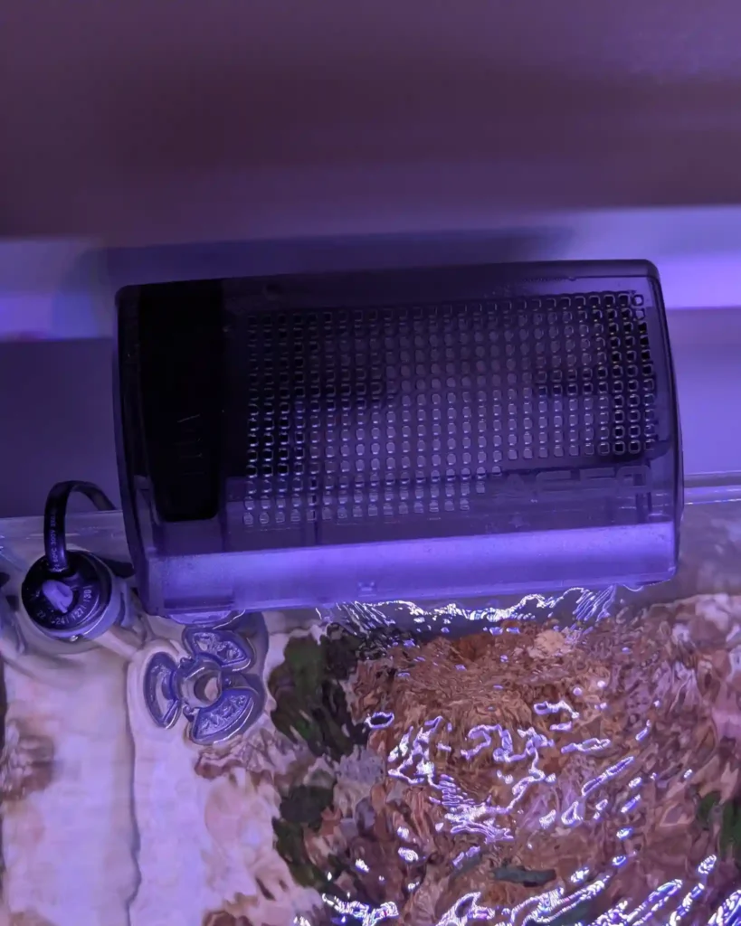 Aquarium Filter Making Noise 2