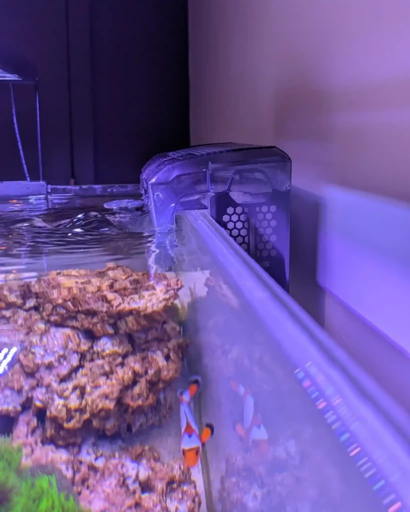 Aquarium Filter Making Noise
