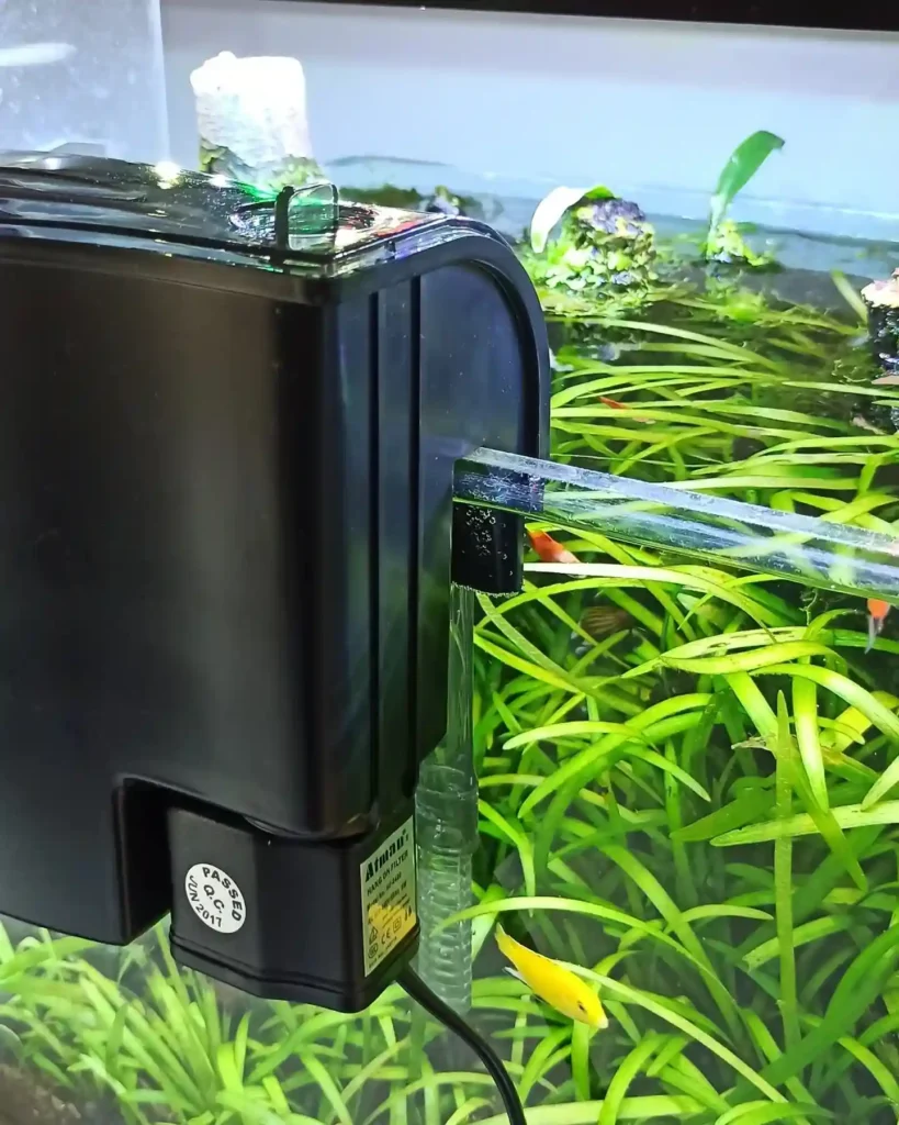 Dechlorinate Tap Water for Fish tank