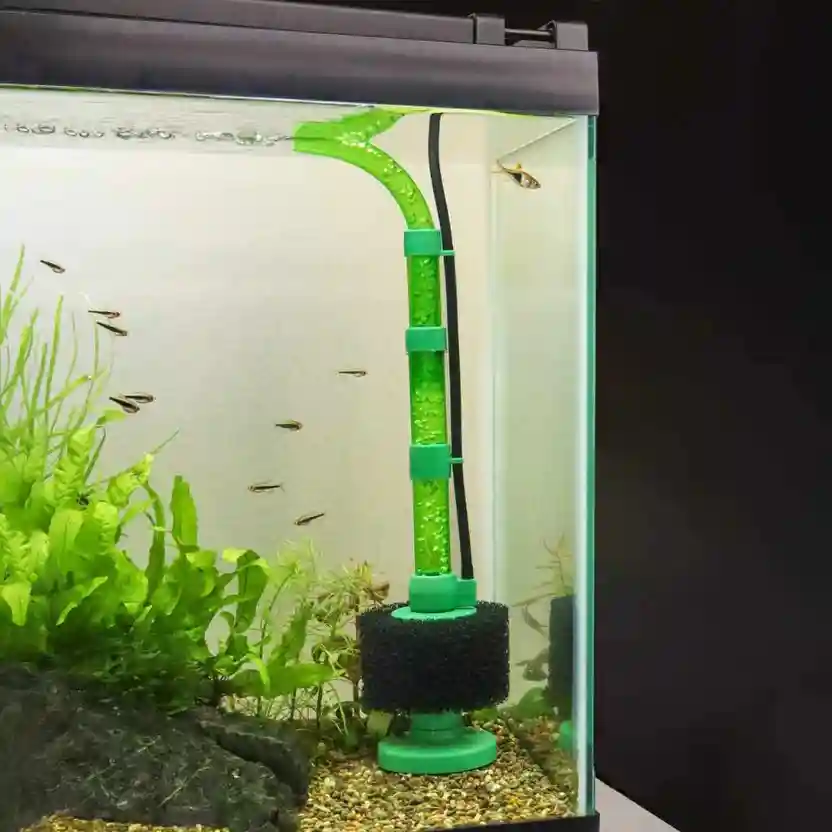 Dechlorinate Tap Water for Fish