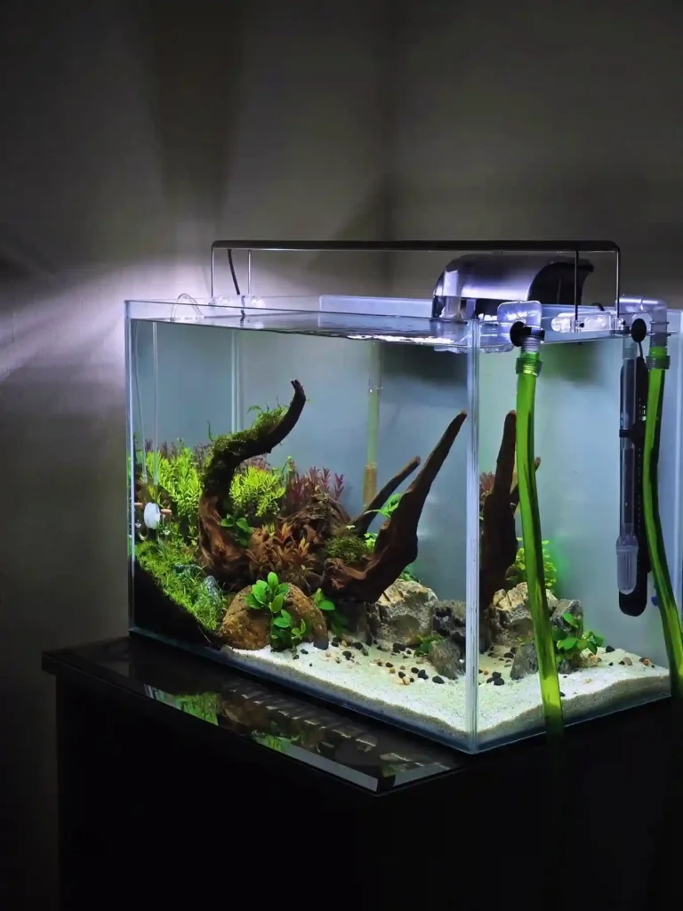 Green Cloudy Aquarium Water