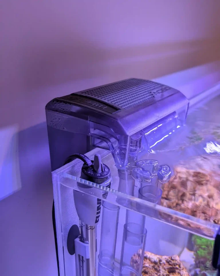 Why Is My Aquarium Filter Making Noise? Causes and Easy Fixes