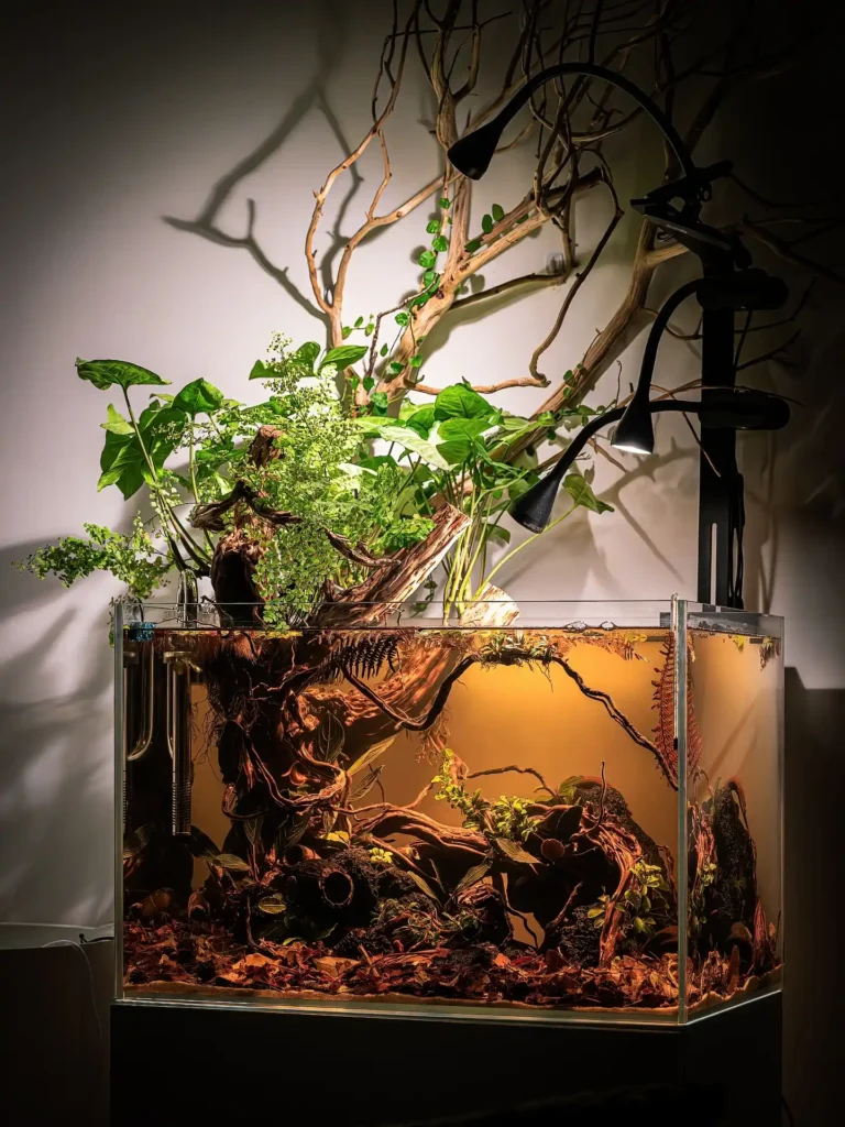 Blackwater Forest Riparium