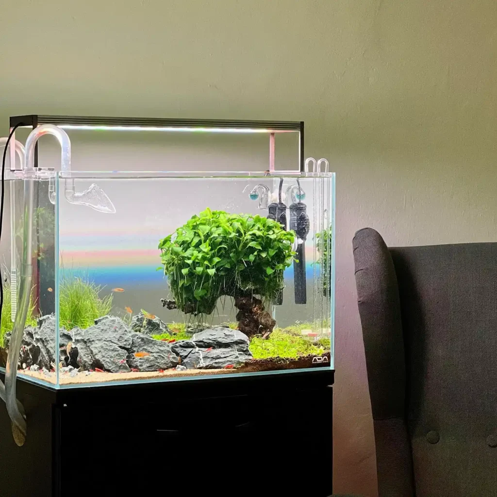 Planted Tree Island
