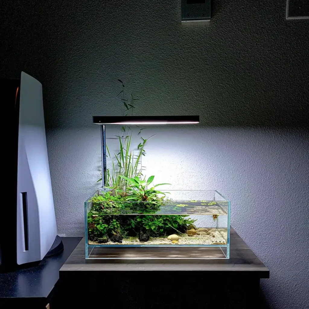Shallow Desktop Riparium