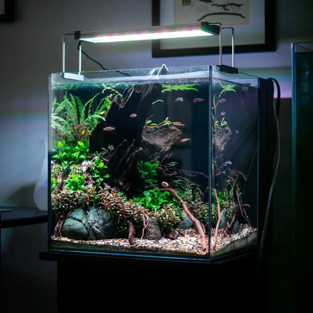 Triangular Nature Aquarium