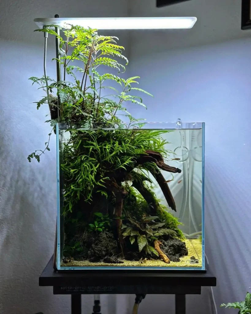 Vertical Forest Cliff